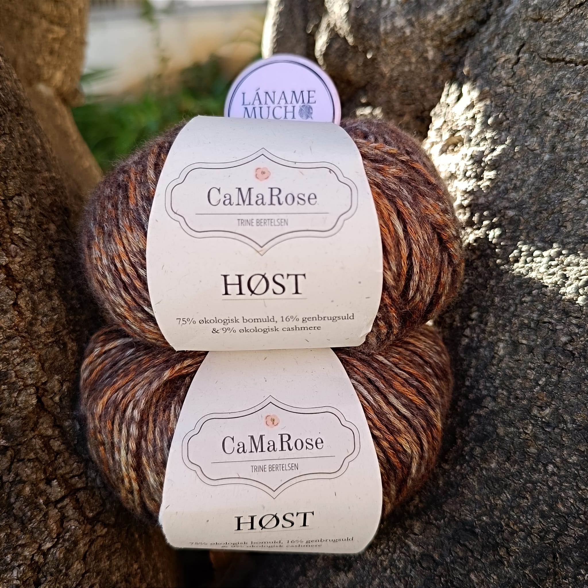 Host CaMaRose