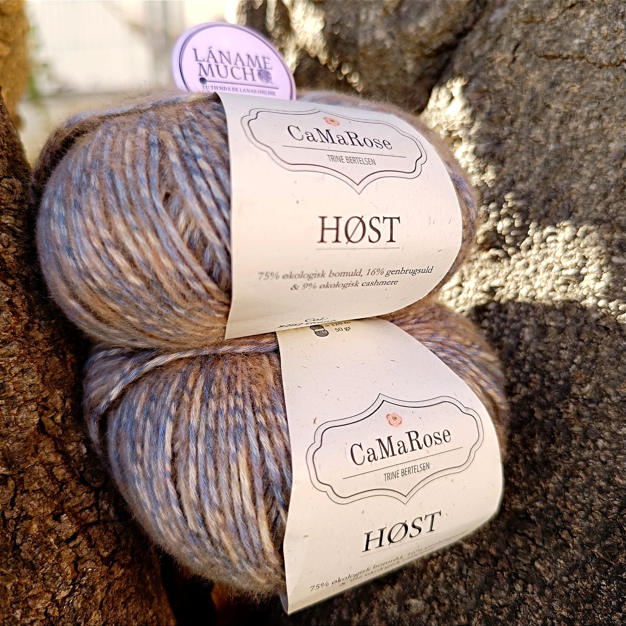 Host CaMaRose