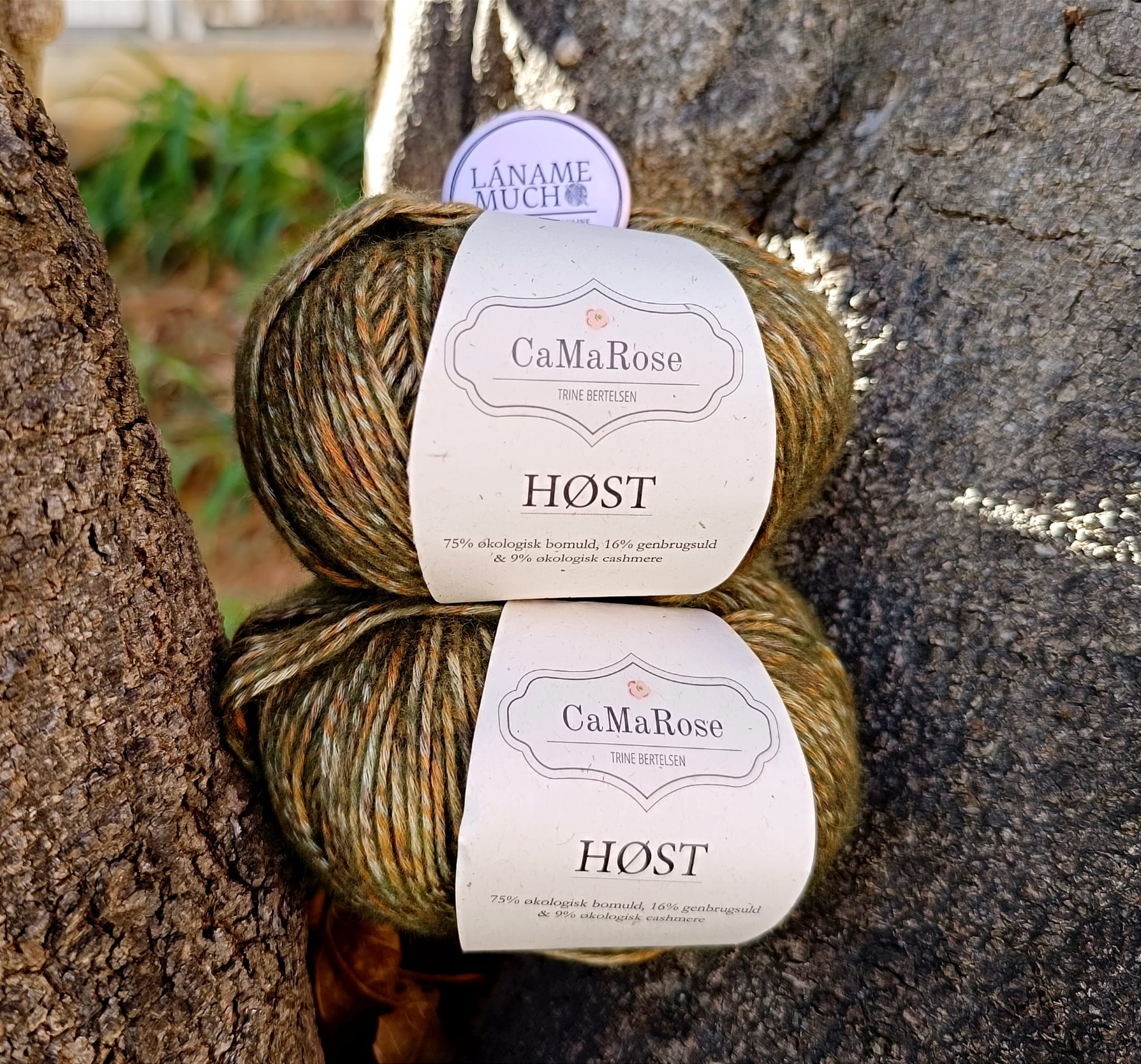 Host CaMaRose