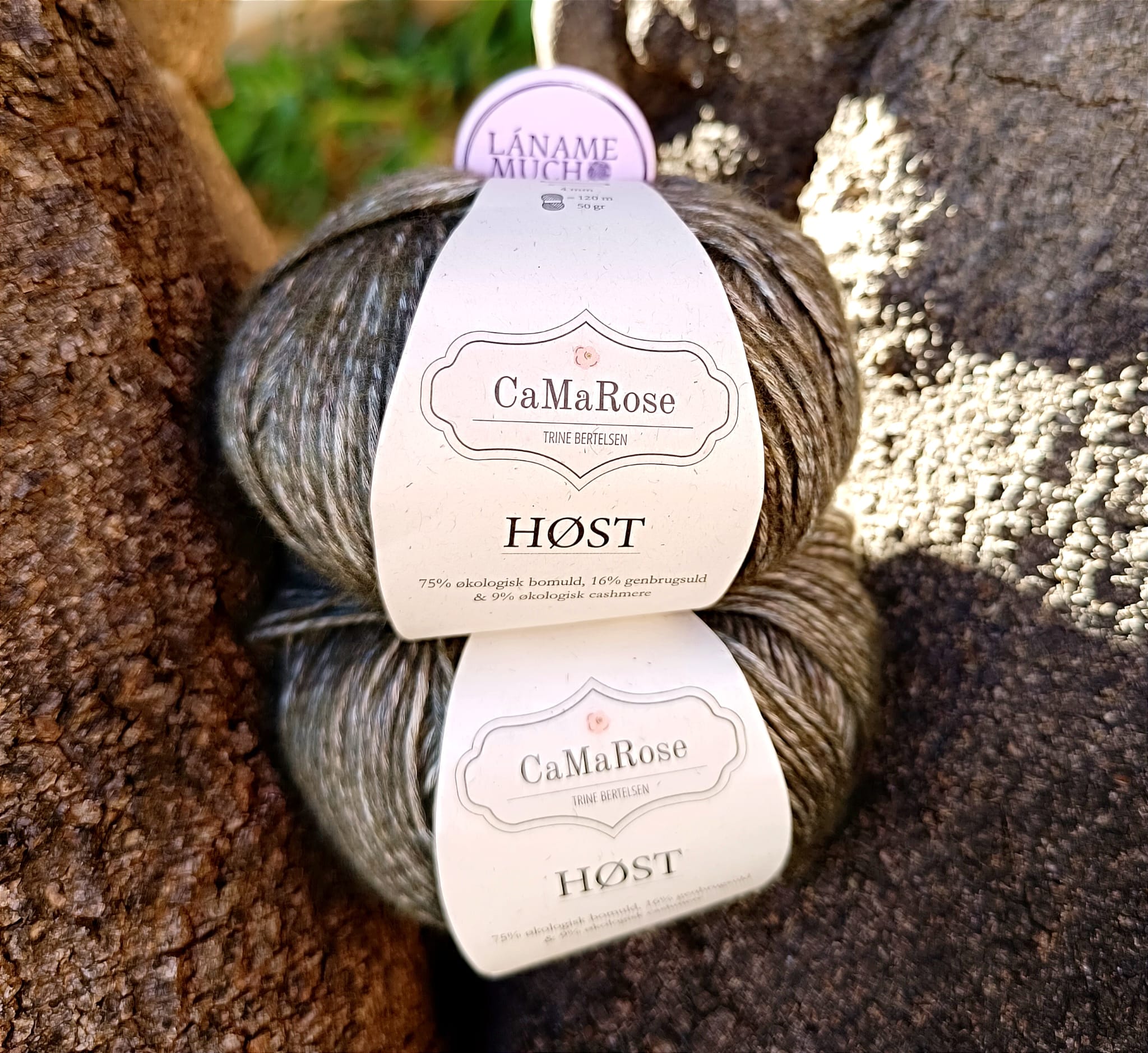 Host CaMaRose