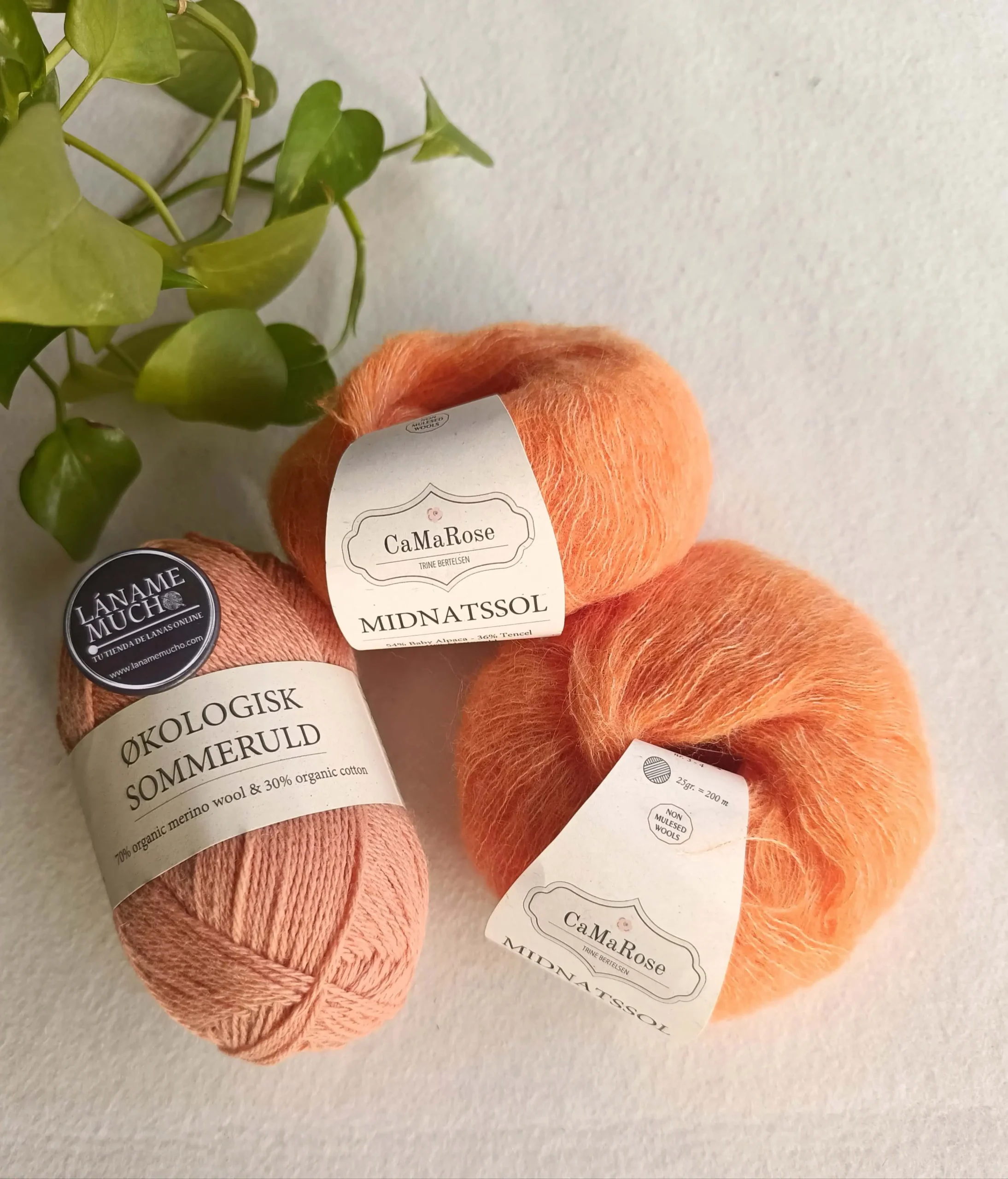 Kit "Moulin Rouge Cardigan" Pope Vergara - Okologisk Sommeruld - Imagen 4