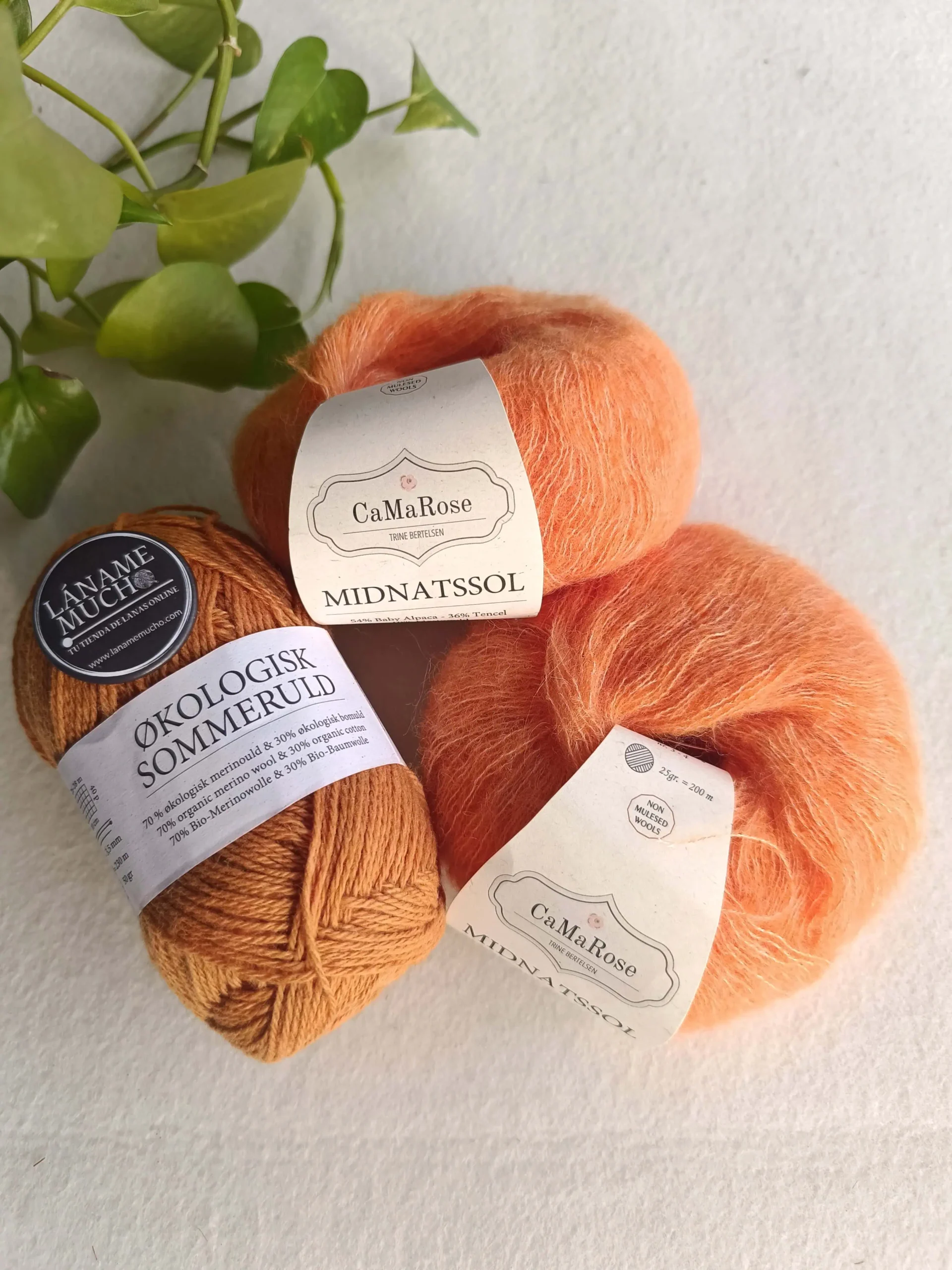 Kit "Moulin Rouge Cardigan" Pope Vergara - Okologisk Sommeruld - Imagen 7
