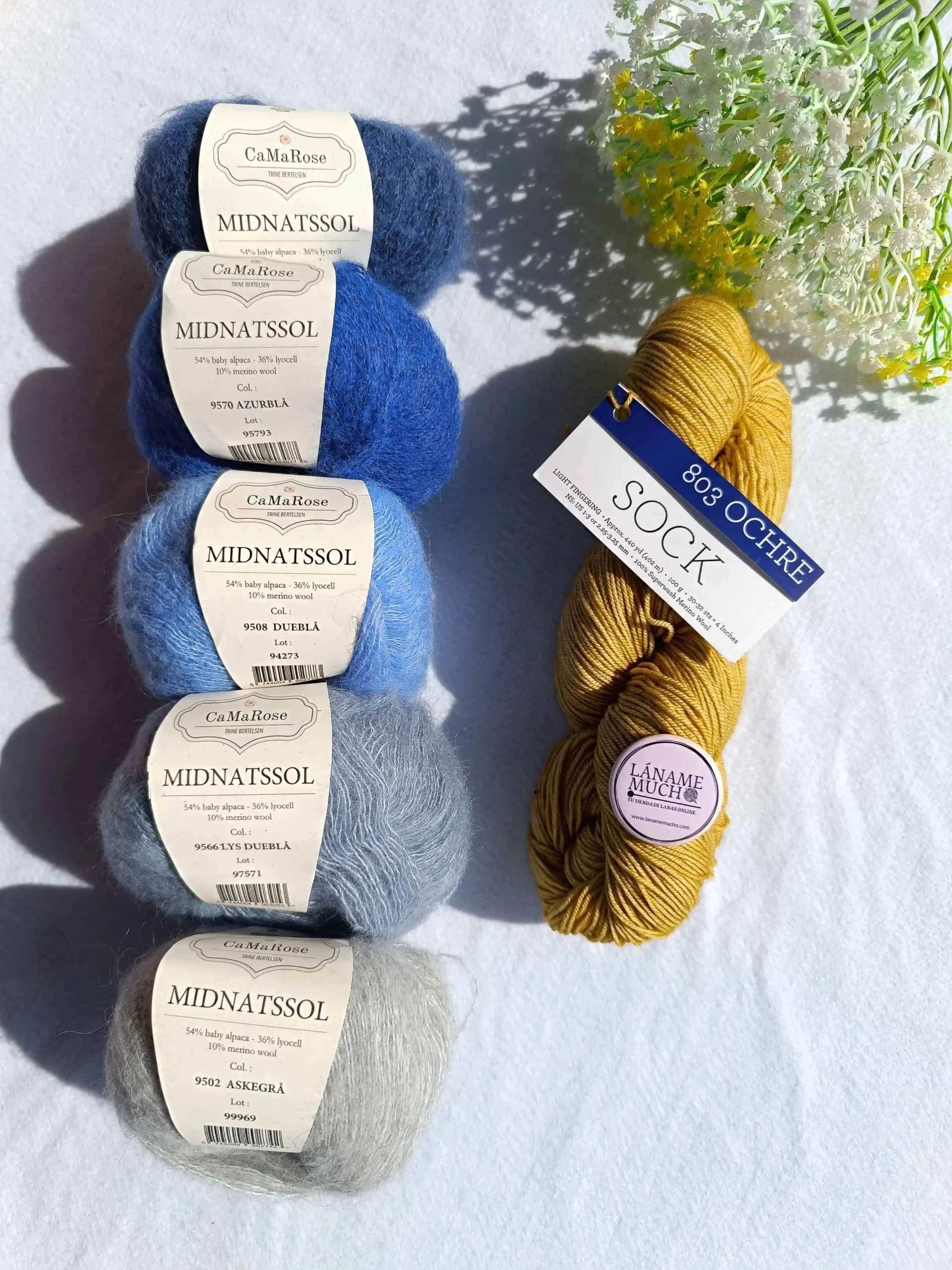 Kit Chal "Glow Along 2026" Stephen West (Sock de Malabrigo + Midnatssol)
